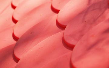 South Chard plastic roof costs